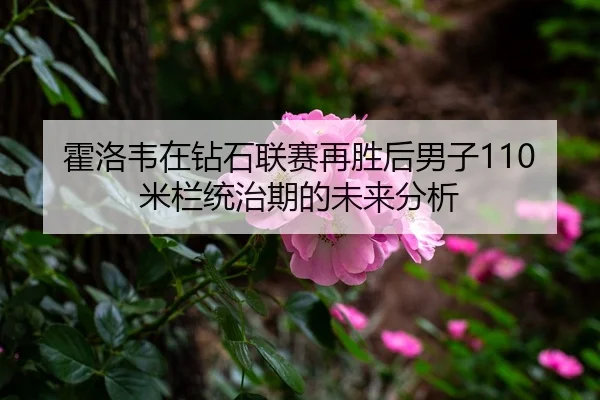 霍洛韦在钻石联赛再胜后男子110米栏统治期的未来分析