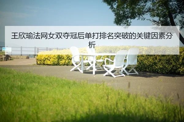 wang-xin-yu-fa-wang-nv-shuang-duo-guan-hou-dan-da-pai-ming-tu-po-de-guan-jian-yin-su-fen-xi-2-207.jpg